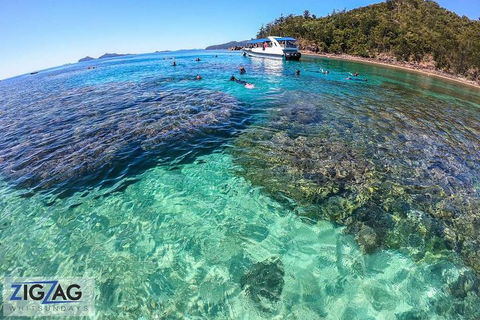 Whitehaven Beach Day Tour With Snorkel In Whitsundays Island - New Castle Holiday 5