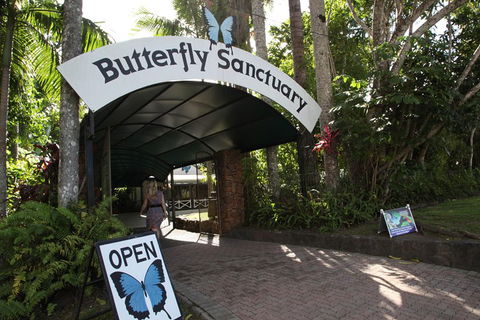 Kuranda Day Trip From Port Douglas Upgrade To Skyrail & Scenic Train Available - New Castle Holiday 0
