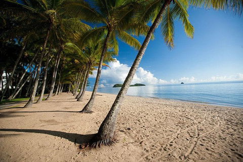 Kuranda Day Trip From Port Douglas Upgrade To Skyrail & Scenic Train Available - New Castle Holiday 1