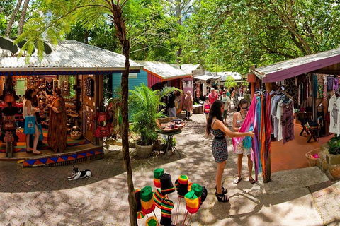 Kuranda Day Trip From Port Douglas Upgrade To Skyrail & Scenic Train Available - New Castle Holiday 2