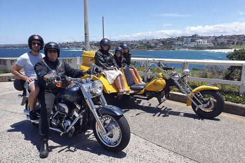 Eastern Sydney Panorama Trike Tour - New Castle Holiday 5