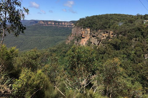 Full-Day Private Blue Mountains Tour With River Cruise - New Castle Holiday 1