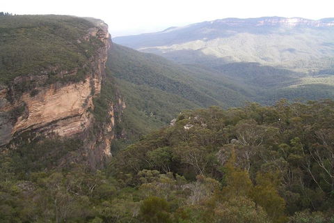 Full-Day Private Blue Mountains Tour With River Cruise - New Castle Holiday 3