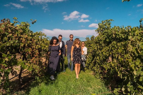 Barossa Valley Private Tour (from 2 To 11 People) - New Castle Holiday 0