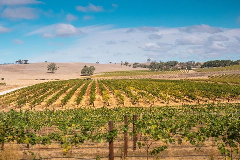 Barossa Valley Private Tour (from 2 To 11 People) - New Castle Holiday 2