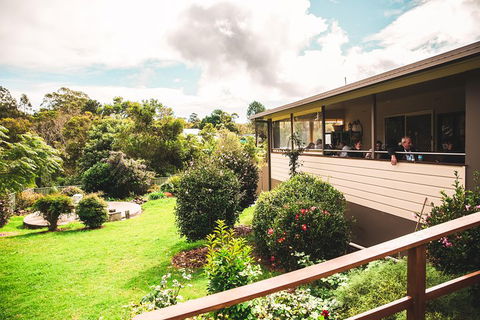 Full-day Springbrook National Park Tour From The Gold Coast - New Castle Holiday 2