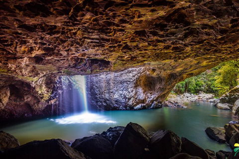 Full-day Springbrook National Park Tour From The Gold Coast - New Castle Holiday 3