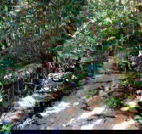 Fraser Island 4WD Tour from Rainbow Beach - New Castle Holiday