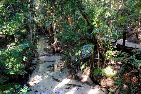 Fraser Island 4WD Tour From Rainbow Beach - New Castle Holiday 0