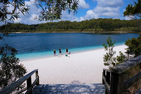 Fraser Island 4WD Tour From Rainbow Beach - New Castle Holiday 3