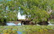 Ethical Adventures - Best In The WET - Litchfield / Kakadu 3 Day- Max 10 Guests - thumb 1