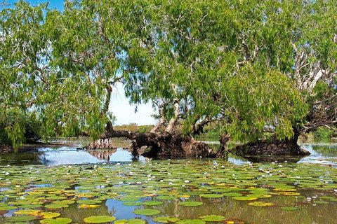 Ethical Adventures - Best In The WET - Litchfield / Kakadu 3 Day- Max 10 Guests - New Castle Holiday 1