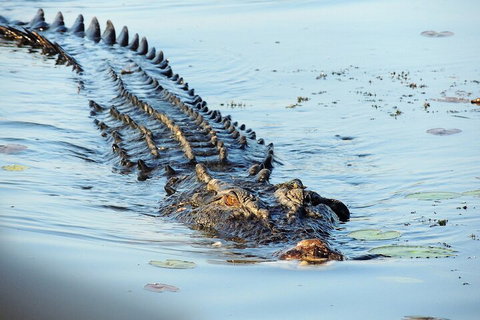 Ethical Adventures - Best In The WET - Litchfield / Kakadu 3 Day- Max 10 Guests - New Castle Holiday 4