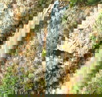 Private Tour - Rainforest  Waterfalls Extravaganza - New Castle Holiday