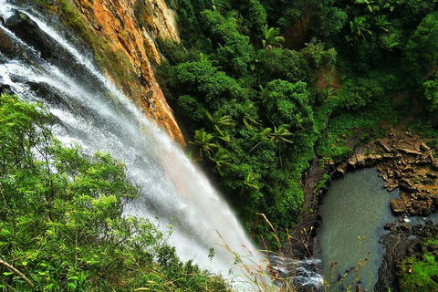 Private Tour - Rainforest & Waterfalls Extravaganza - New Castle Holiday 2