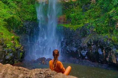 Private Tour - Rainforest & Waterfalls Extravaganza - New Castle Holiday 3