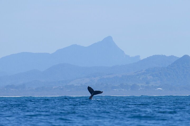 Hayters Hill NSW New Castle Holiday