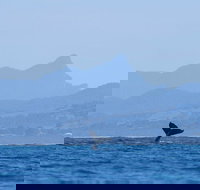 The Byron Bay Sea Kayak Tour - New Castle Holiday