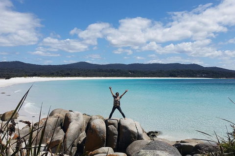 Tasmania 4 Day East Coast + Launceston - New Castle Holiday 1