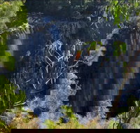 Byron Bay Hinterland Tour Including Rainforest Walk to Minyon Falls - New Castle Holiday