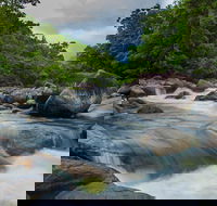 Cape Tribulation Day Tour - New Castle Holiday
