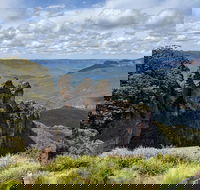 Blue Mountains Private Tour - wild kangaroos waterfalls and The Three Sisters - New Castle Holiday
