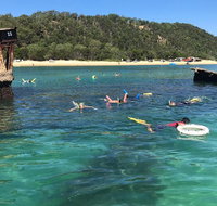 All Inclusive Dolphin and Tangalooma Wrecks Cruise - New Castle Holiday