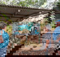 Bombing of Darwin World War II Tour with Harbour Cruise - New Castle Holiday