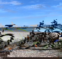 Adelaide City to Sea Bike Tour - New Castle Holiday