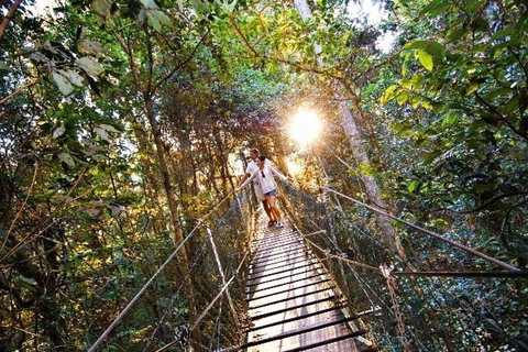 O'Reilly's & Lamington National Park From Brisbane - New Castle Holiday 5