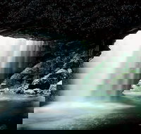 Natural Bridge Glow Worm Night Tour from Gold Coast - New Castle Holiday