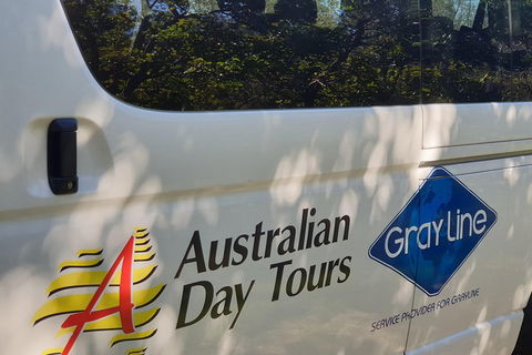 Natural Bridge Glow Worm Night Tour From Gold Coast - New Castle Holiday 5