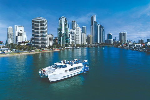 Hop On Hop Off Day Pass | Hopo Gold Coast Ferry - New Castle Holiday 3