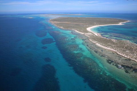 Pink Lake + Abrolhos Islands Scenic Flight - New Castle Holiday 0