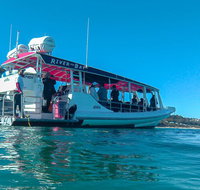 Best of Moreton Bay Cruise - New Castle Holiday
