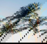 Darwin City Sightseeing Tour - New Castle Holiday