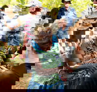 Tiwi Islands Cultural Experience from Darwin Including Ferry - New Castle Holiday