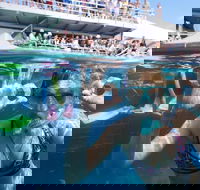 Great Barrier Reef Day Cruise from Cairns Including Snorkeling and Marine Biologist Presentation - New Castle Holiday
