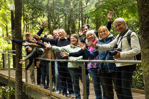 All Inclusive Blue Mountains Small-Group Day Trip From Sydney - New Castle Holiday 5
