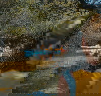 Kayak Tour in Adelaide Dolphin Sanctuary - New Castle Holiday