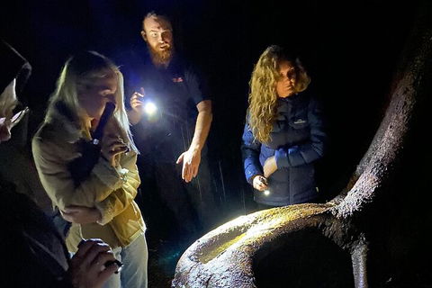 Evening Rainforest & Glow Worm Experience - New Castle Holiday 2