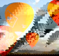 Natural Bridge  Springbrook Waterfalls Tour  Hot Air Balloon with Breakfast - New Castle Holiday