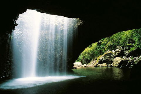 Natural Bridge & Springbrook Waterfalls Tour - New Castle Holiday 0