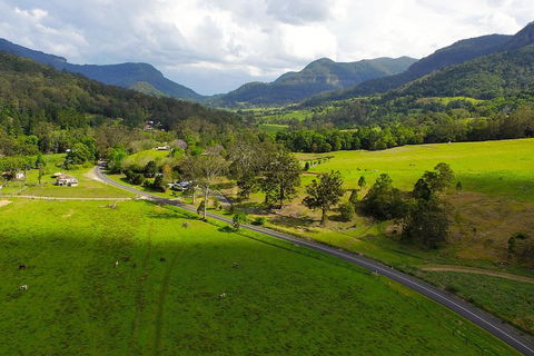 Natural Bridge & Springbrook Waterfalls Tour - New Castle Holiday 2
