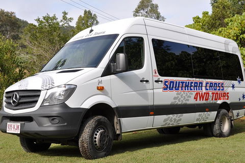 Natural Bridge & Springbrook Waterfalls Tour - New Castle Holiday 3