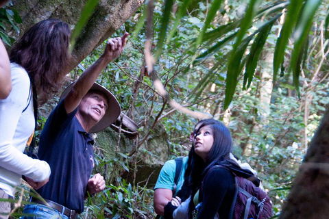 Natural Bridge & Springbrook Waterfalls Tour - New Castle Holiday 4
