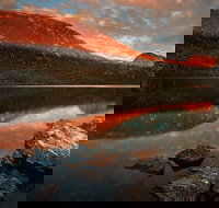 Cradle Mountain Private Charter Service - New Castle Holiday