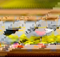 Launceston Private Charter Service - New Castle Holiday