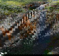 7 Days Darwin Kakadu National Park Katherine Gorge Touring Package - New Castle Holiday