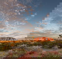 Uluru Kata Tjuta and Kings Canyon Camping Safari from Alice Springs - New Castle Holiday